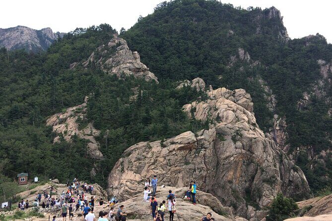Full-Day Tour in Mt. Seorak & Nami (+Rail Bike Option) - Mt. Seorak and Nami in One Day: Why This Combo Works