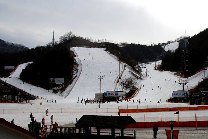 Gangchon Elysian Ski Day Trip from Seoul - Getting there: guide energy and what you might learn en route
