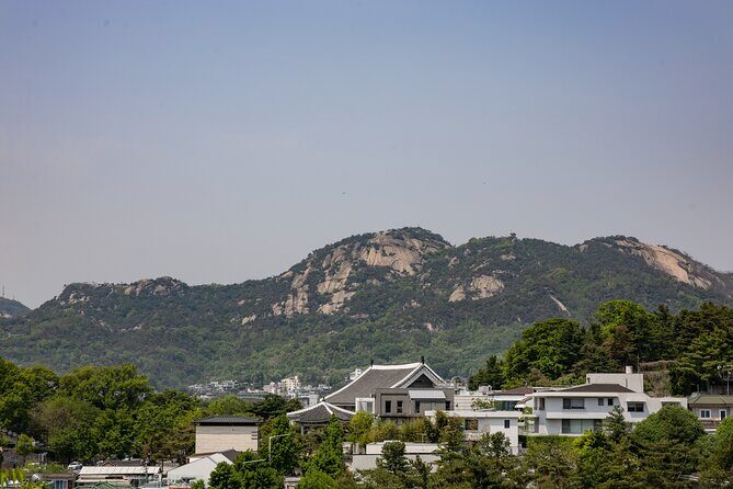 Gwanghwamun Tour l 120 minutes to Understand Local Korean Society - Price and value: $14.10 for a 2-hour society lesson