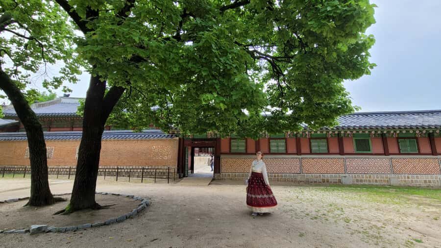 Gyeongbokgung Palace, Jogyesa Temple and Bukchon village - Gwanghwamun Square and King Sejong: get your bearings fast