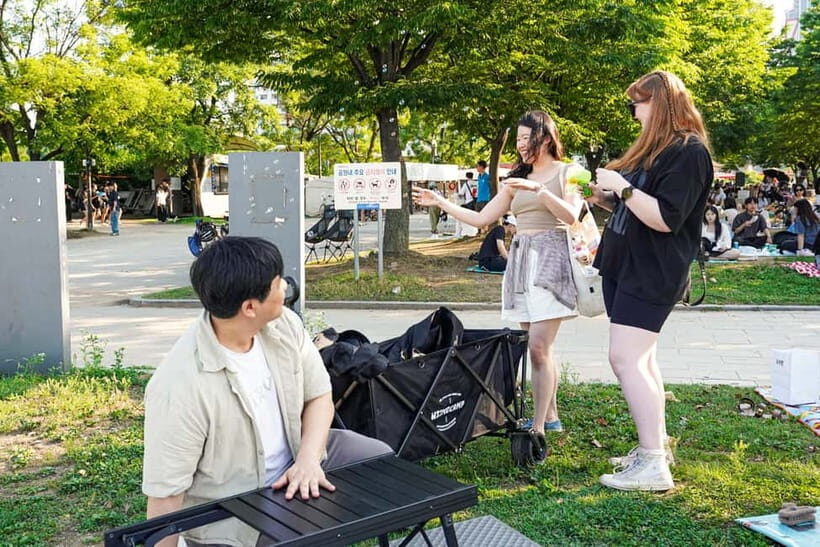 Han's River Picnic in Center of Seoul - Practical tips to make this night picnic smoother