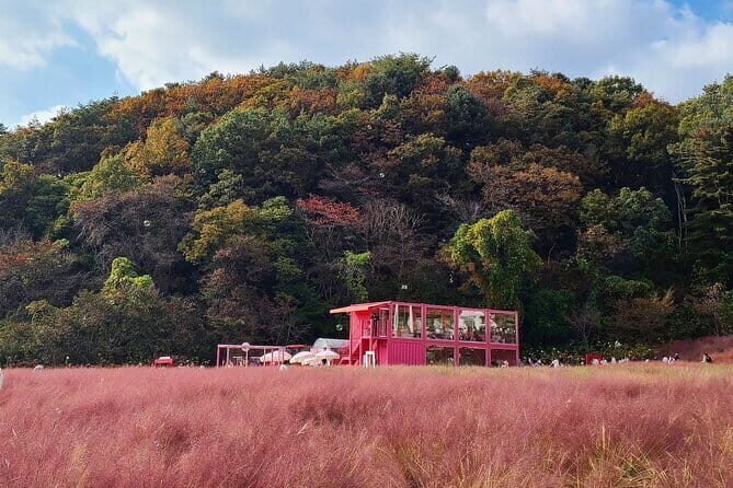 Herb Island and Sanjung Lake and Bidulginang Water Falls - How This 10-Hour Pocheon Trip Runs From Seoul