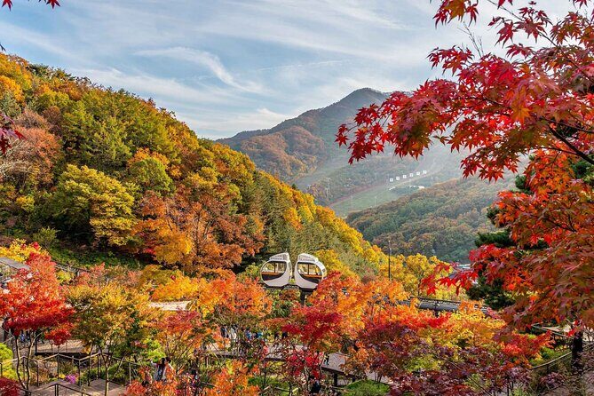 Hwadam Botanic Garden and Namhansanseong and Folk Village Trip - Key Highlights You’ll Actually Feel