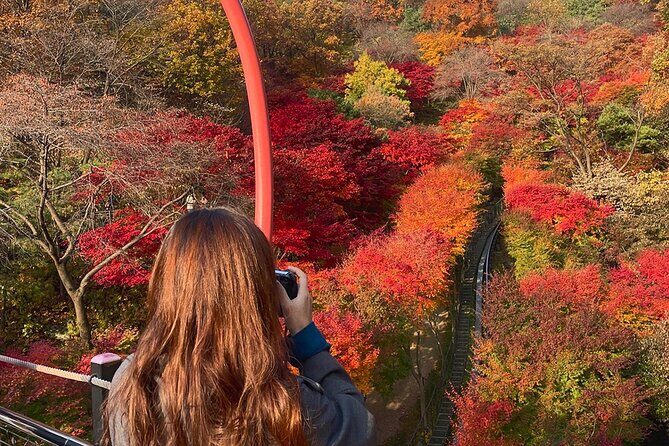 Hwadam Botanic Garden and Namhansanseong and Folk Village Trip - Namhansanseong Fortress and the Temporary Palace: UNESCO Views With Purpose