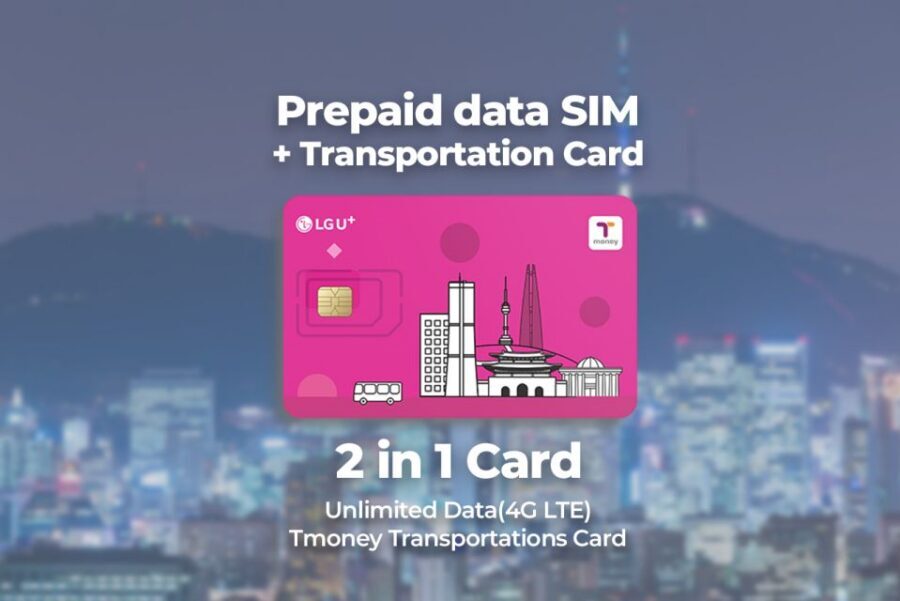 Incheon Airport: Traveler SIM & T-money Transportation Card - Quick takeaways: what makes this airport stop worth your time