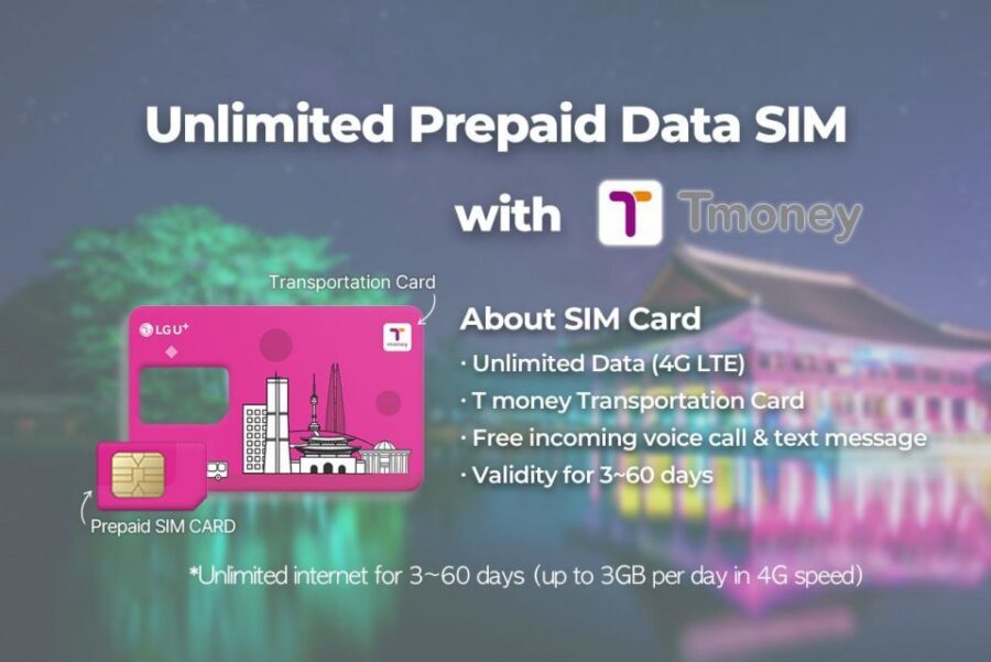 Incheon Airport: Traveler SIM & T-money Transportation Card - How to plan your T-money charge for your travel length