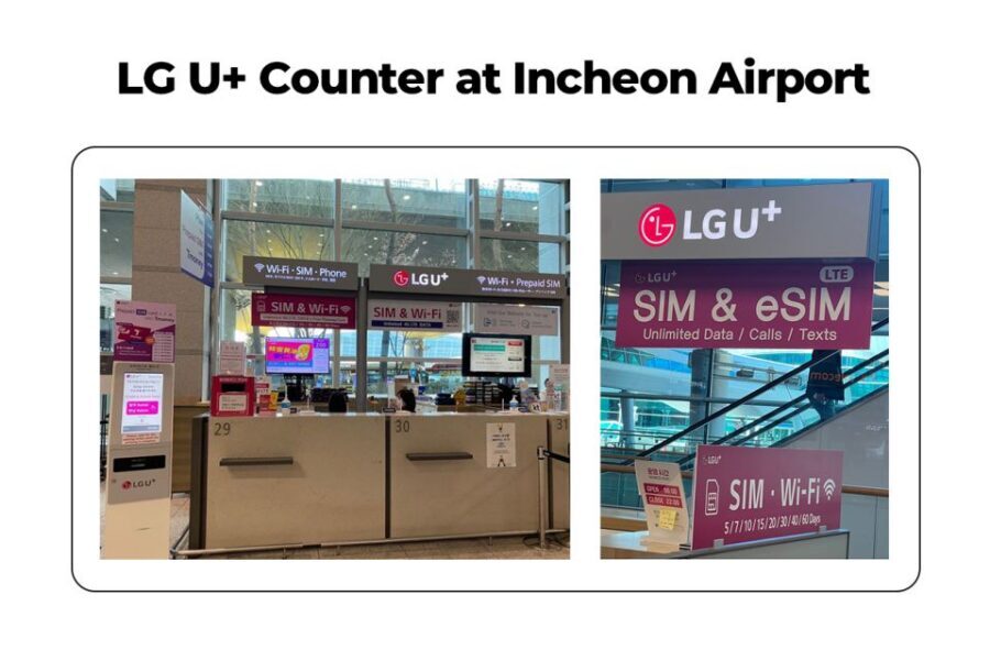 Incheon Airport: Traveler SIM & T-money Transportation Card - Where to go after customs: terminal and gate guidance that saves time