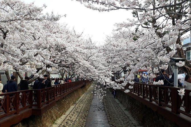 Jinhae Cherry Blossom + Busan Sunrise from Seoul - Haedong Yonggungsa sunrise: a quiet spiritual stop before the crowds