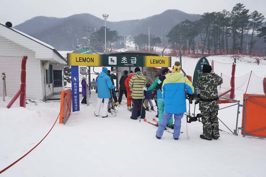 Jisan Forest Resort: Ski Full-Day Tour or Shuttle from Seoul - Key things to know before you go