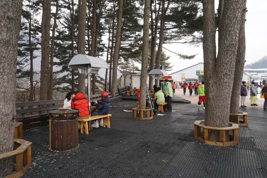Jisan Forest Resort: Ski Full-Day Tour or Shuttle from Seoul - Who this tour is best for (and who should skip it)