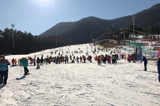 Jisan Forest Ski Resort and Everland 1 Day Tour - Jisan Forest and Everland: One Trip, Two Very Different Moods