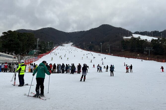 Jisan Forest Ski Resort and Everland 1 Day Tour - Gear, Gloves, and the Lift Pass Reality for First-Timers