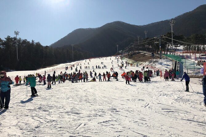 Jisan Ski One Day Tour - Jisan Forest Ski Resort: Lessons, Slopes, and First-Timer Reality