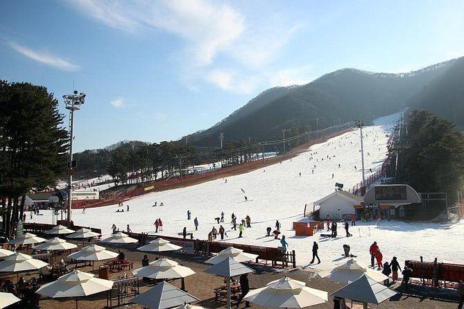 Korea Ski Tour from Seoul - Jisan Resort with Isaac Toast - Seoul to Jisan: the early start and how the ride works