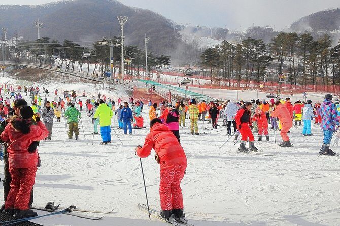 Korea Ski Tour from Seoul - Jisan Resort with Isaac Toast - What’s included vs what costs extra (rentals are the usual surprise)