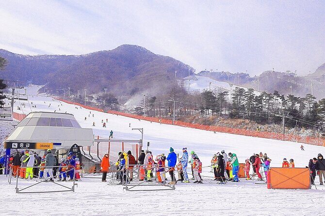 Korea Ski Tour from Seoul - Jisan Resort with Isaac Toast - Who this is best for (and who might want a different plan)