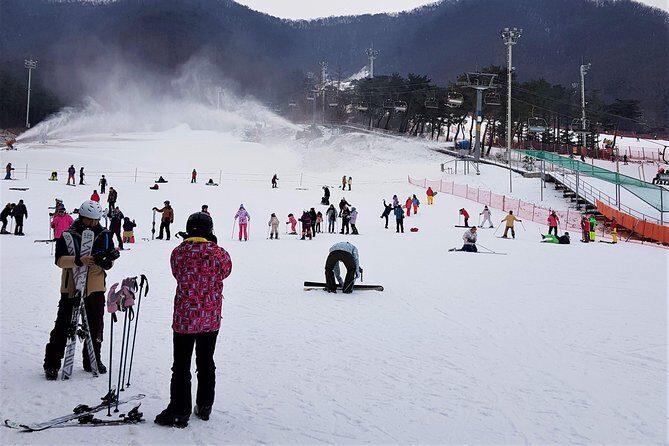 Korea Ski Tour from Seoul - Jisan Resort with Isaac Toast - Price and value: why $19.95 can be a bargain or a trap