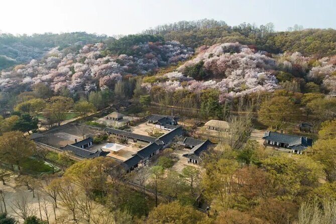 Korean Folk Village Afternoon Half day Tour - Korean drama spotting: a bonus for fans of filming locations