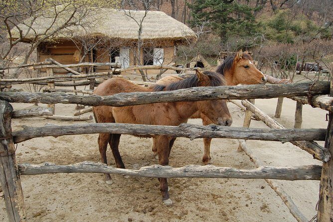 Korean Folk Village Afternoon Tour from Seoul - Who should book this tour, and who should skip it