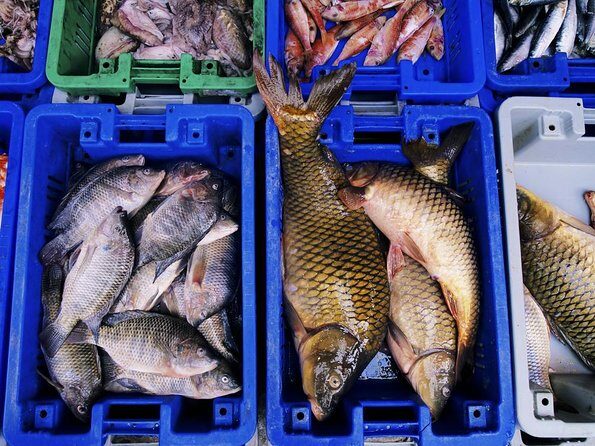 Korean Market Adventure with Chef Yie - Noryangjin Fish market - Noryangjin Fisheries Wholesale Market: a 1927 stop you can feel