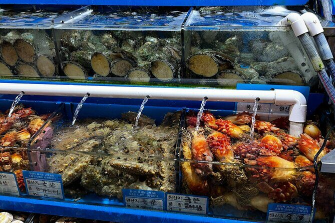 Korean Market Adventure with Chef Yie - Noryangjin Fish market - The market meal: what you’ll likely eat and why it tastes better