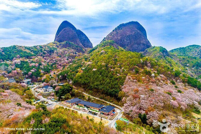 Maisan Cherry Blossom and Jeonju Hanok Village - Key Points You’ll Care About