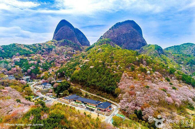 Maisan Cherry Blossom and Jeonju Hanok Village - Who This Tour Suits Best (and Who Should Think Twice)