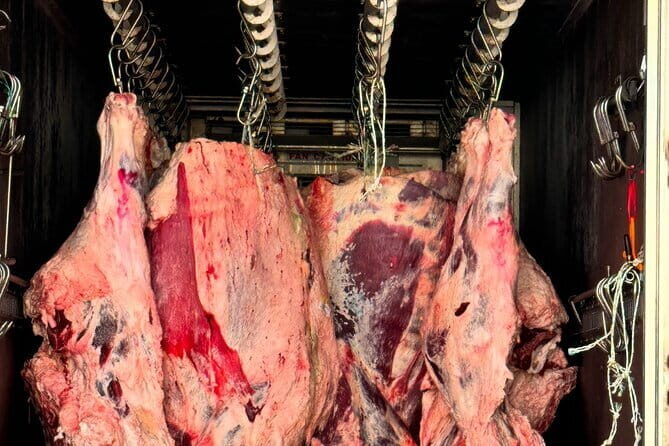 Majang Meat Market Experience: Private Tour with Han-woo Beef BBQ - What you’ll see inside: a clean market with a real edge