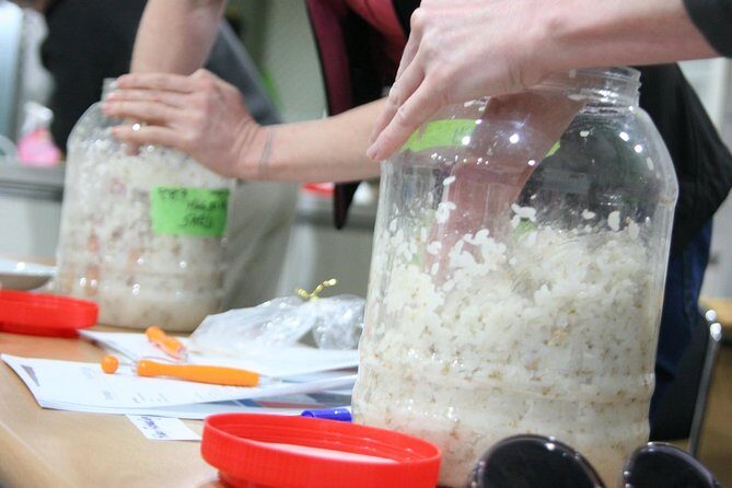 Makgeolli Brewing Class - From washed rice to fermentation: the hands-on steps that stick