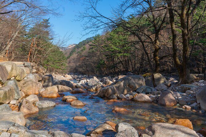 Mount Seorak and Nami Island One Day Tour from Seoul - Nami Island: easy time, famous scenery, and the Winter Sonata factor