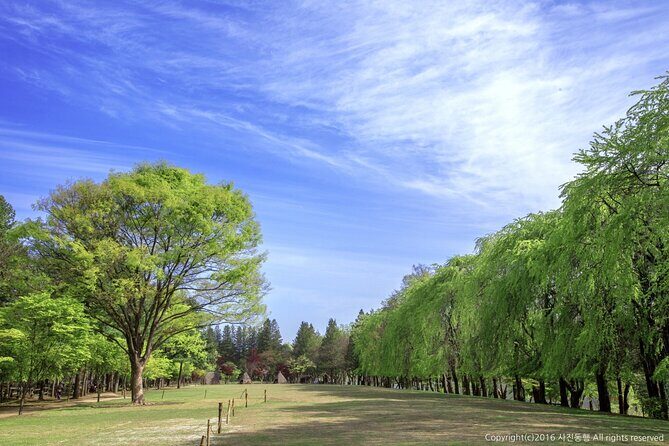Mount Seorak and Nami Island One Day Tour from Seoul - Money and value: is $80.95 a good deal?