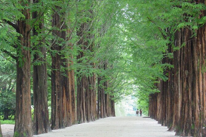 Mount Seorak and Nami Island One Day Tour from Seoul - The long day rhythm: 12 to 13 hours, paced for real life