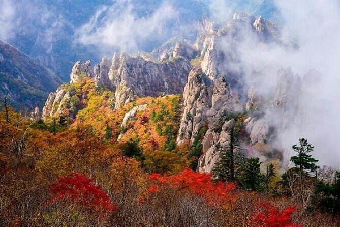 Mt.Seorak & Naksan Temple Day Trip from Seoul - A 12-hour autumn escape: Mt. Seorak and the east coast vibe
