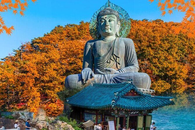 Mt.Seorak & Naksan Temple Day Trip from Seoul - Getting out of Seoul: how the day’s timing feels