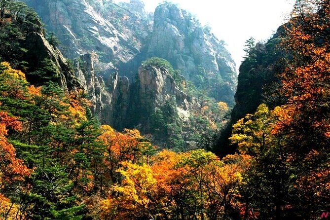 Mt.Seorak & Naksan Temple Day Trip from Seoul - A professional driver-guide and the small-group feel