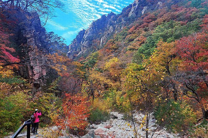 Mt. Seorak+Nami Island+Garden of Morning Calm Day Trip from Seoul - What this 14-hour combo trip really feels like