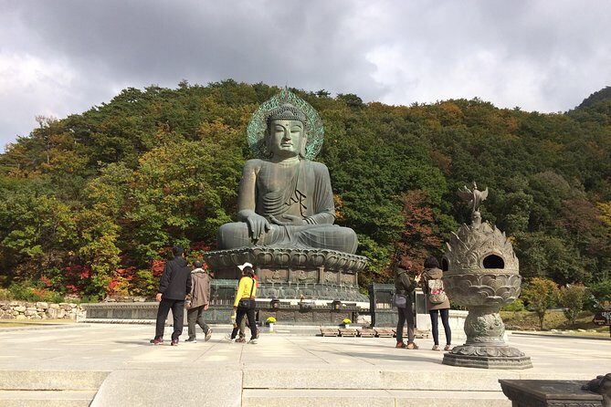 Mt. Seorak+Nami Island+Garden of Morning Calm Day Trip from Seoul - Mt. Seoraksan National Park + Shinheungsa Temple: choose your hike style