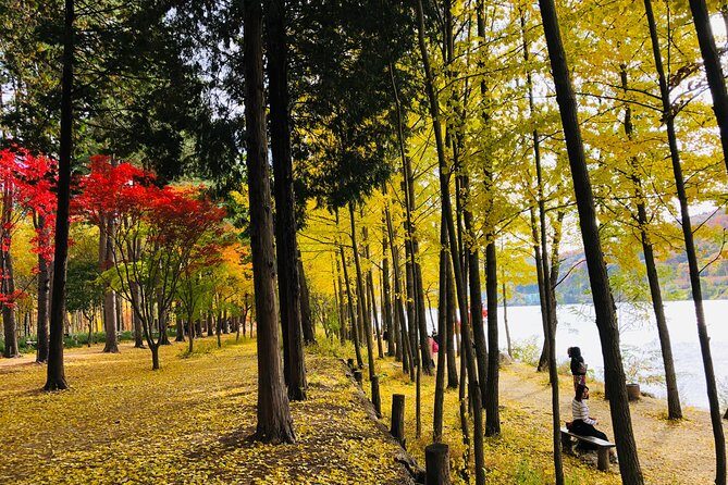 Mt. Seorak+Nami Island+Garden of Morning Calm Day Trip from Seoul - Mt. Seorak hiking tip: pace, footwear, and quick observation wins