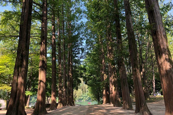 Mt. Seorak+Nami Island+Garden of Morning Calm Day Trip from Seoul - Food, breaks, and how to avoid a cranky day