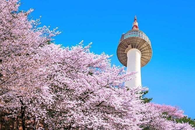 N Seoul Tower Observatory Ticket South Korea - Key points to know before you go