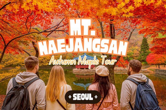 Naejangsan National Park Autumn Foliage One Day Tour from Seoul - Key things that make this tour worth your time