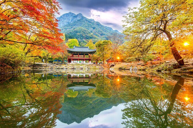 Naejangsan National Park Autumn Foliage One Day Tour from Seoul - Why Naejangsan leaves are a strong alternative to staying in Seoul