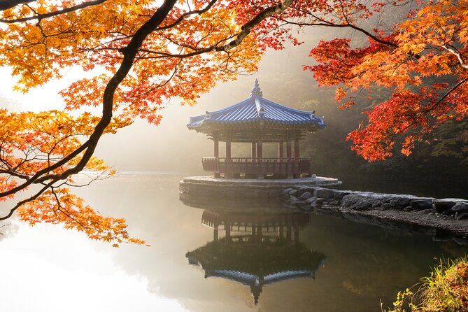 Naejangsan National Park Autumn Foliage One Day Tour from Seoul - The long coach ride: how to survive 13–14 hours
