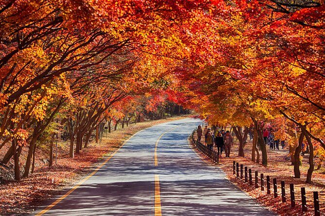 Naejangsan National Park Autumn Foliage One Day Tour from Seoul - Pickup, staff, and mobile ticket basics in Seoul