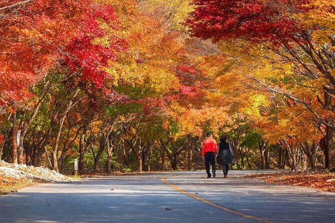 Naejangsan National Park Autumn Foliage One Day Tour from Seoul - Naejangsan National Park: your 5 hours to hike at your own pace