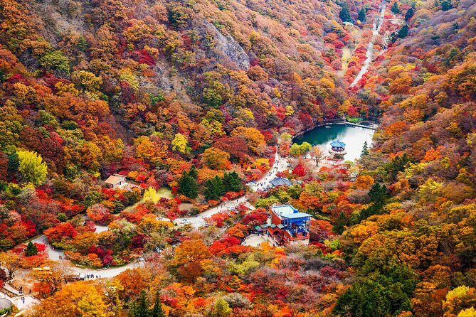 Naejangsan National Park Autumn Foliage One Day Tour from Seoul - Naejangsa Temple: history by the leaves, not instead of them