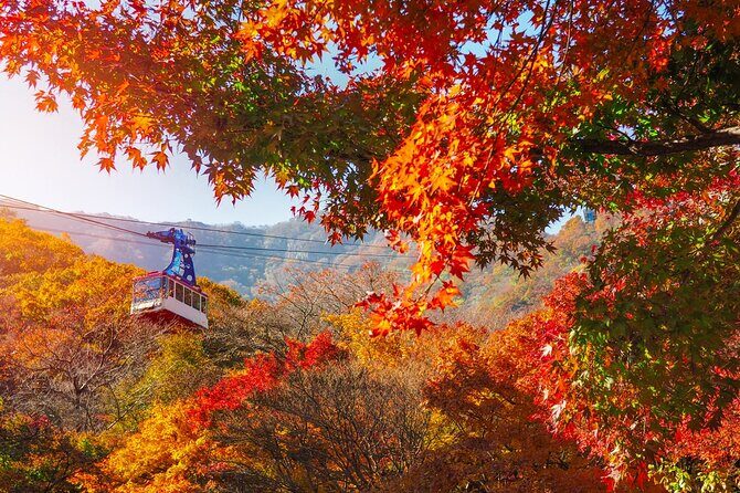 Naejangsan National Park Autumn Foliage One Day Tour from Seoul - Price and what you’re actually getting for $46.29