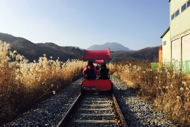 Nami Island and Begonia Bird Park Tour from Seoul (opt Railbike) - A day trip from Seoul to Gapyeong: flowers, birds, and island photos