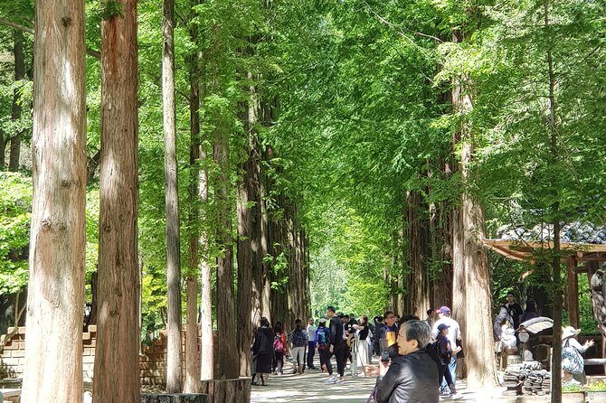 Nami Island and Petite France - Filming location - Seoul Logistics Made Simple: Pickup, Timing, and the 8-Hour Plan