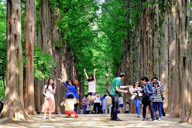 Nami Island, Cable Car, Garden of Morning Calm Panoramic Tour - Garden of Morning Calm: Planned Beauty That Still Feels Peaceful